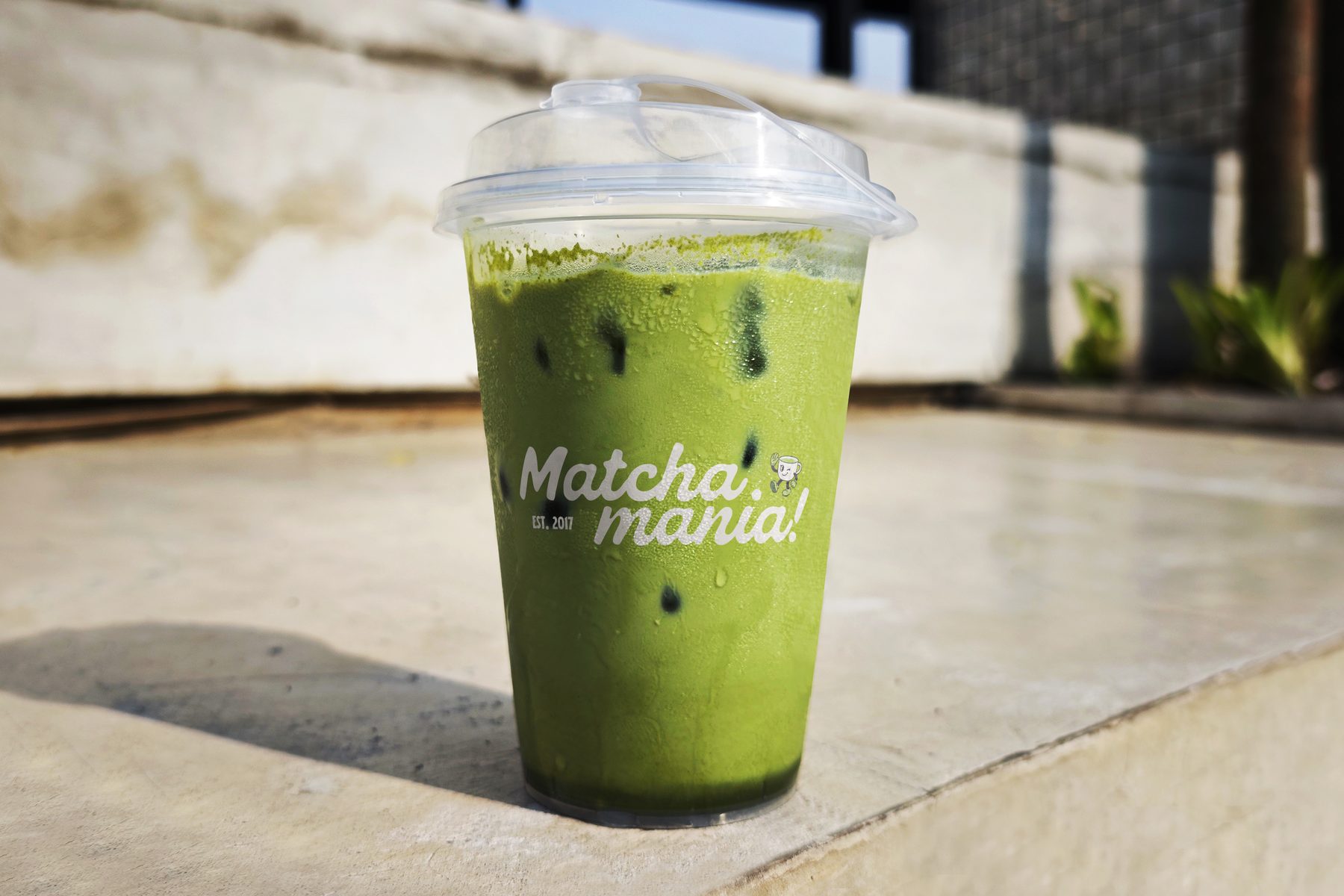 Matcha Mania